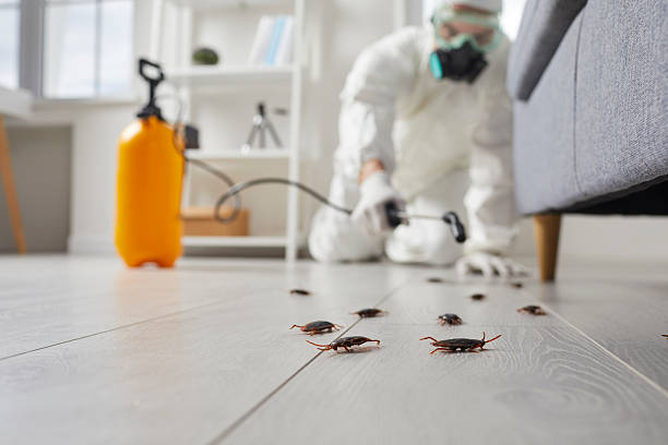 Trusted Fumigation Services service in Oakhurst, NJ - Nex Pest Control
