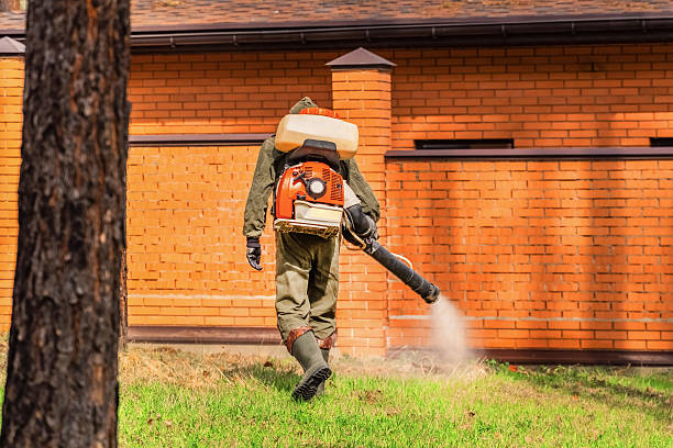 Trusted Cockroach Control service in Oakhurst, NJ - Nex Pest Control